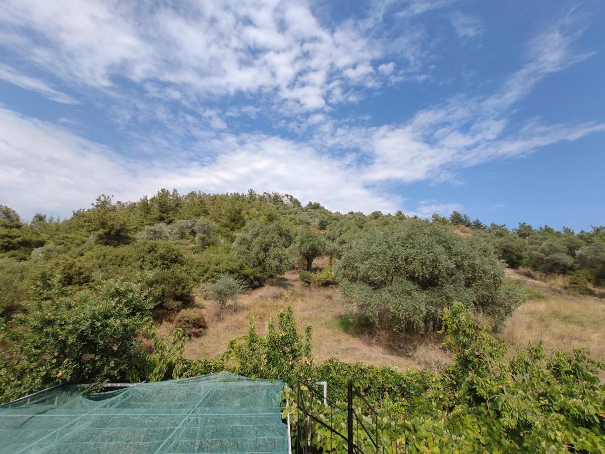 Elpida * Thasos