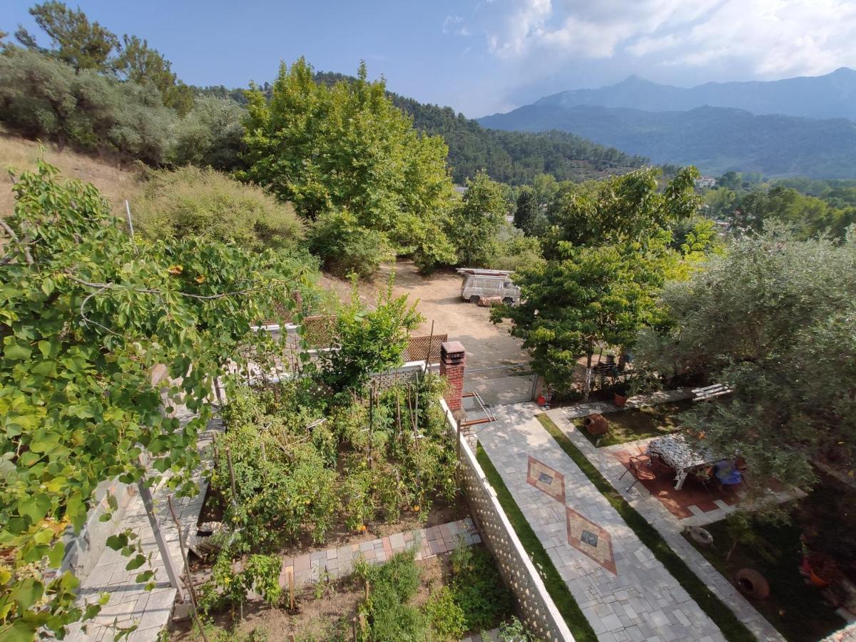 Apartment Elpida